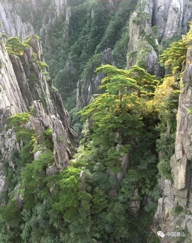 召唤神龙万宁版祖龙
